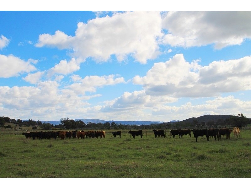 Lot 2,  Wollar Road, Mudgee NSW 2850