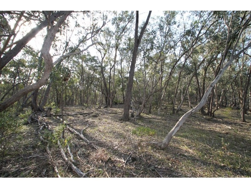 Mudgee NSW 2850