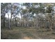 Mudgee NSW 2850