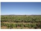 Mudgee NSW 2850