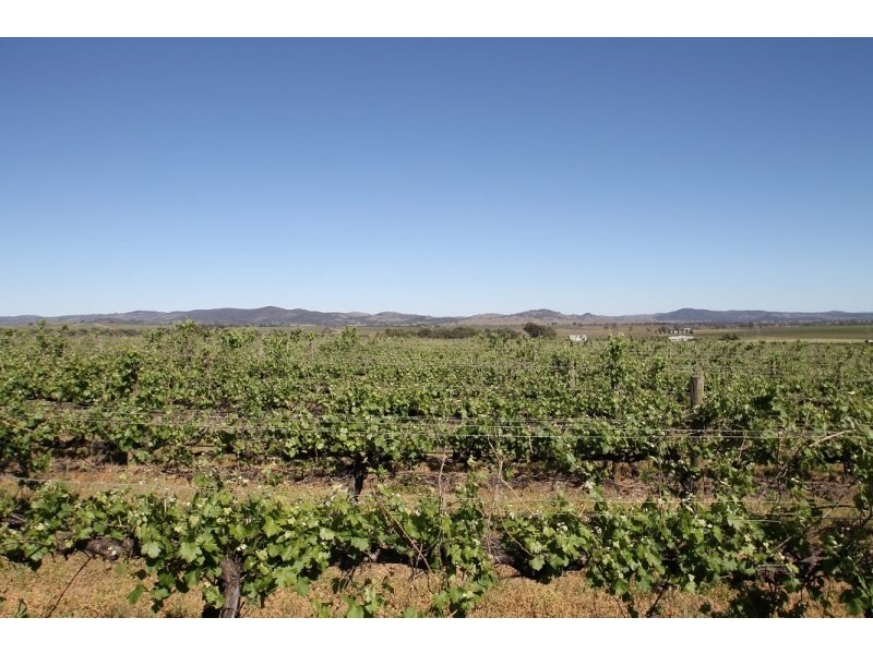Mudgee NSW 2850