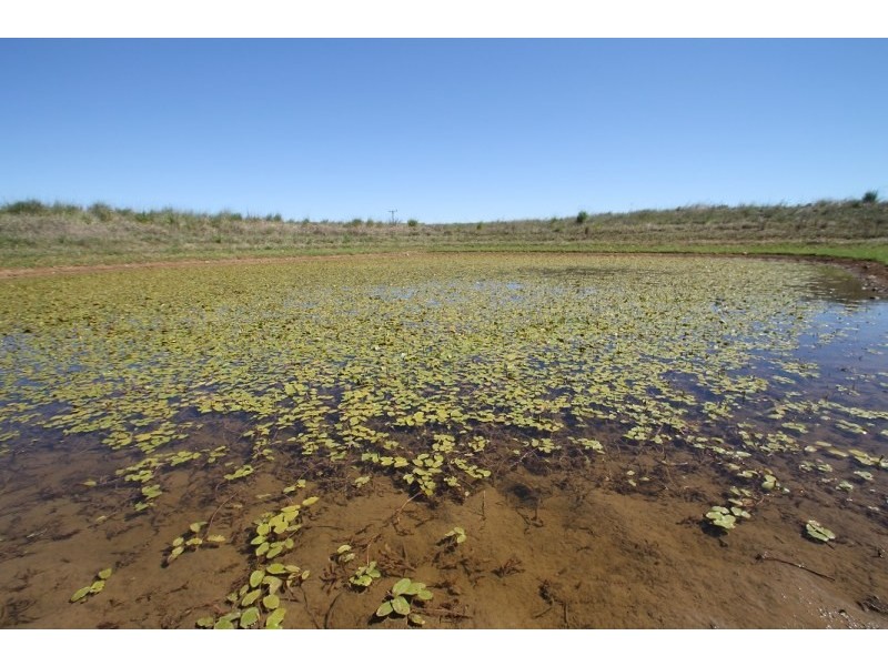 Mudgee NSW 2850