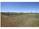 Mudgee NSW 2850