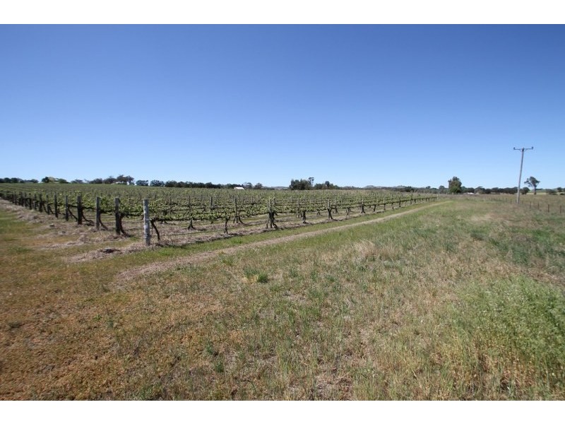 Mudgee NSW 2850