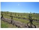 Mudgee NSW 2850