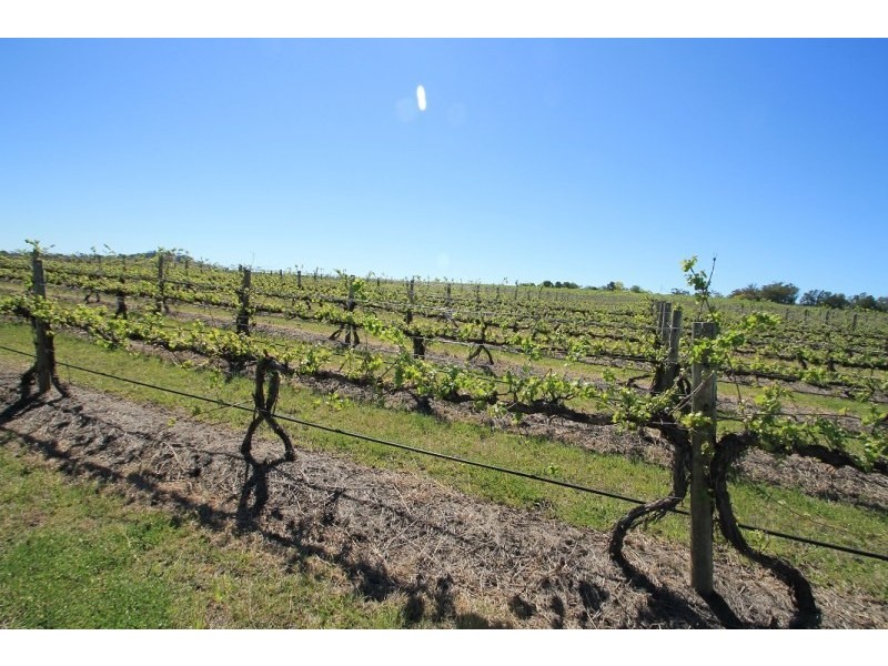 Mudgee NSW 2850
