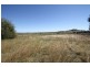 Mudgee NSW 2850