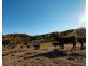1243 Lower Piambong Road, Mudgee NSW 2850