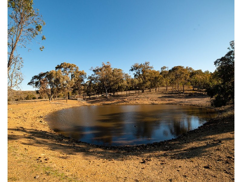 1243 Lower Piambong Road, Mudgee NSW 2850