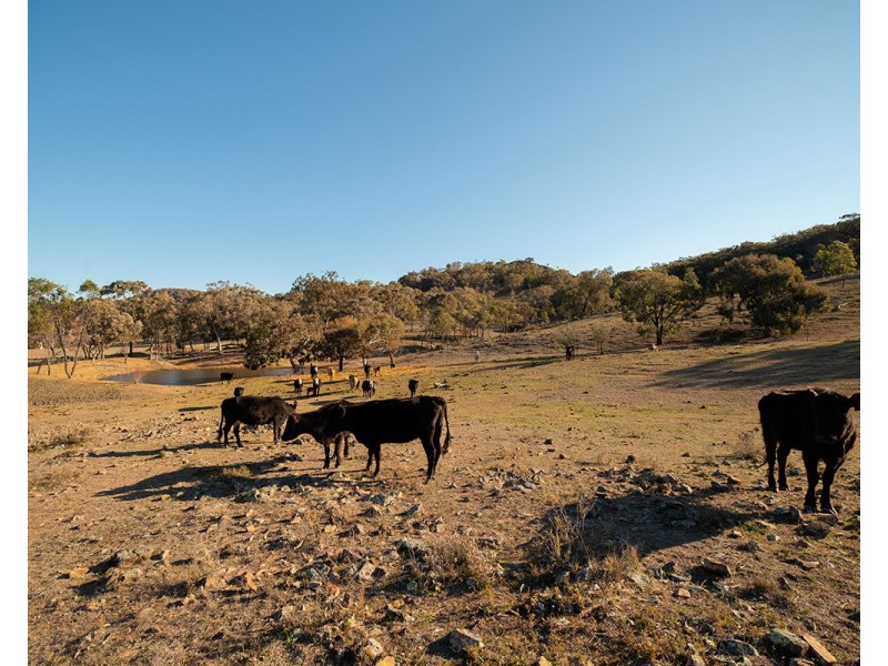 1243 Lower Piambong Road, Mudgee NSW 2850