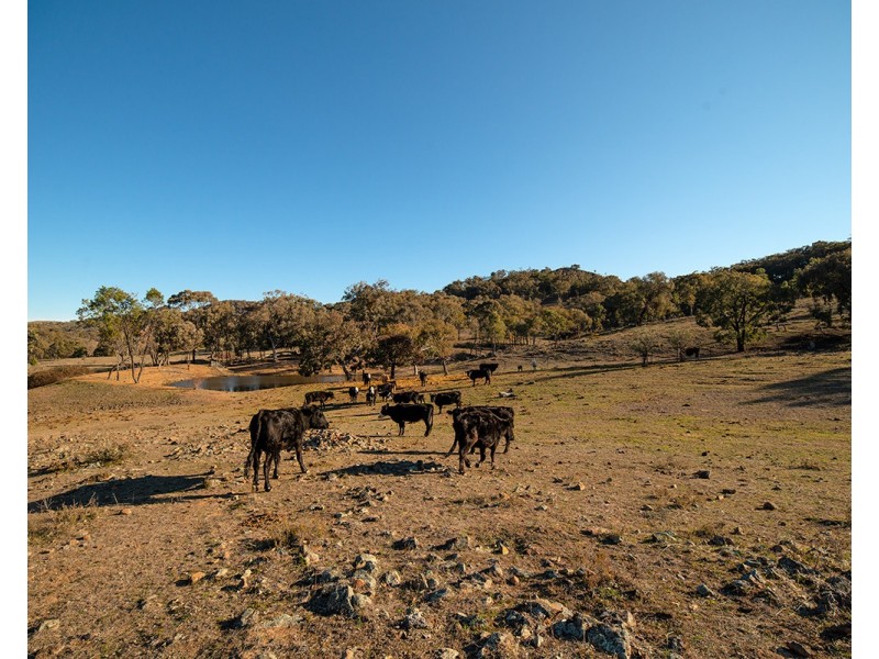 1243 Lower Piambong Road, Mudgee NSW 2850