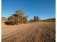 1243 Lower Piambong Road, Mudgee NSW 2850