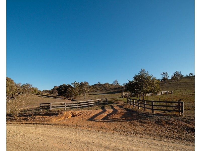 1243 Lower Piambong Road, Mudgee NSW 2850