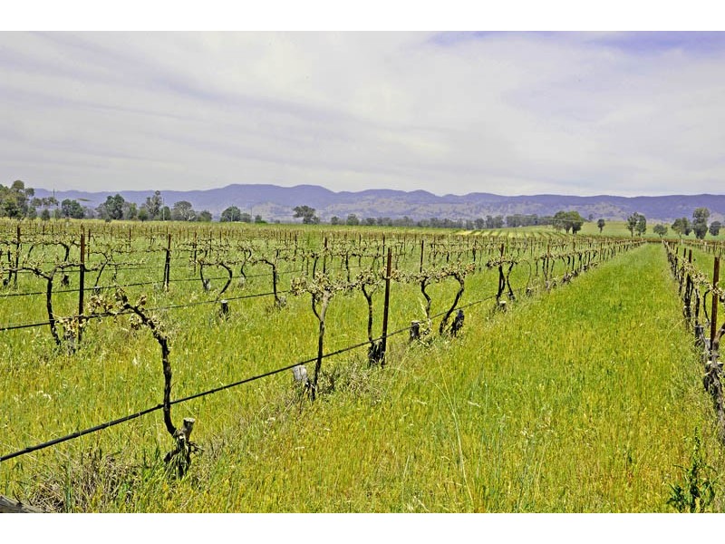 Mudgee NSW 2850