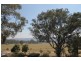Mudgee NSW 2850