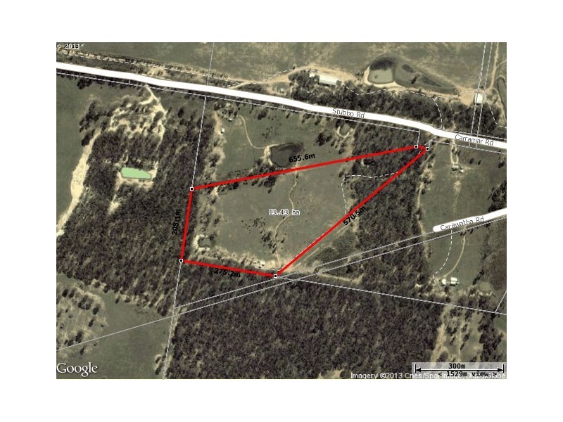 423 Carramar Road, Gulgong NSW 2852