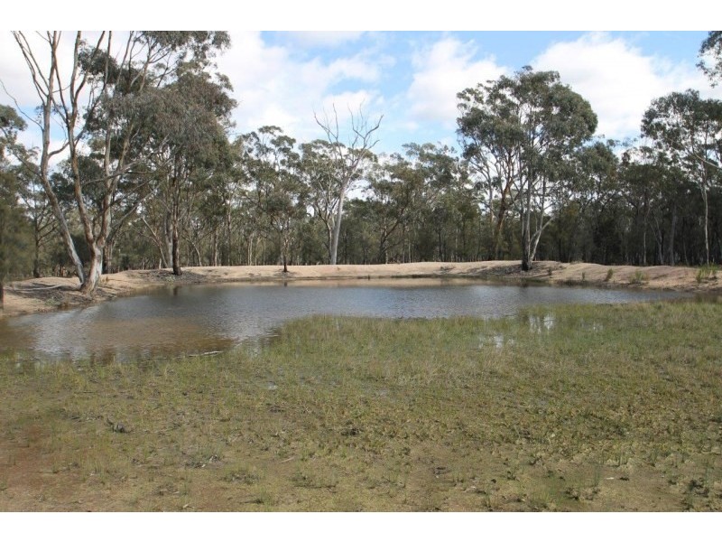 423 Carramar Road, Gulgong NSW 2852