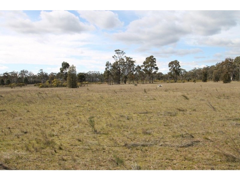 423 Carramar Road, Gulgong NSW 2852