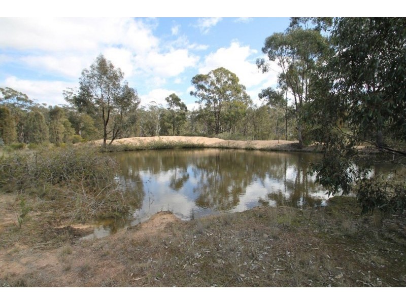 423 Carramar Road, Gulgong NSW 2852