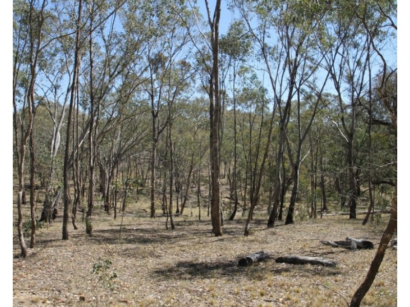 Lot 85, 411 Maitland Bar Road, Mudgee NSW 2850