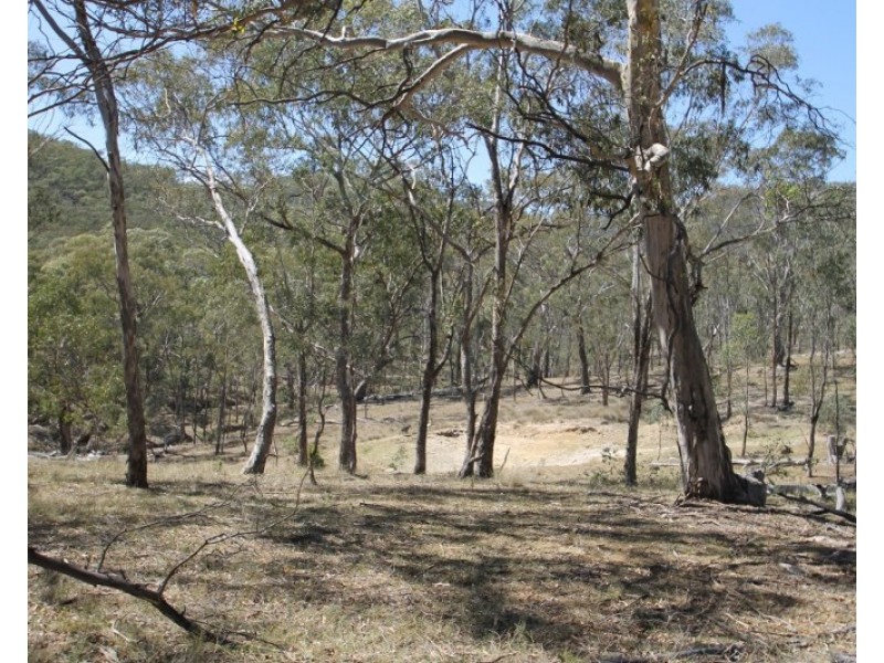 Lot 85, 411 Maitland Bar Road, Mudgee NSW 2850