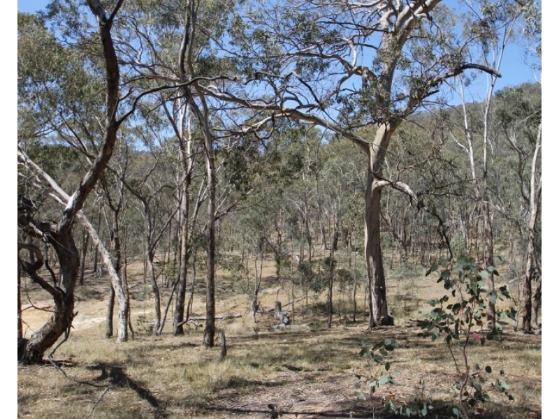 Lot 85, 411 Maitland Bar Road, Mudgee NSW 2850