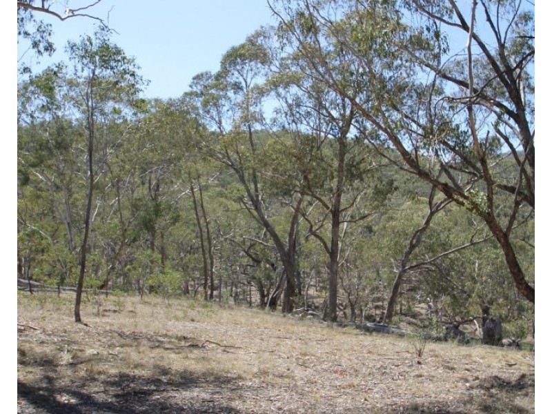 Lot 85, 411 Maitland Bar Road, Mudgee NSW 2850