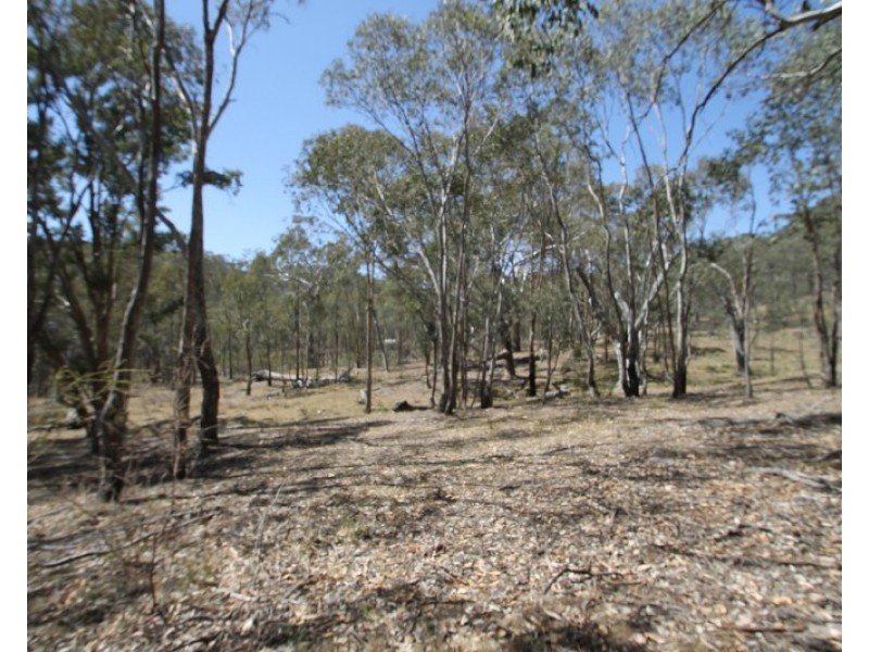 Lot 85, 411 Maitland Bar Road, Mudgee NSW 2850