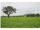 721 Ulan Road, Mudgee NSW 2850