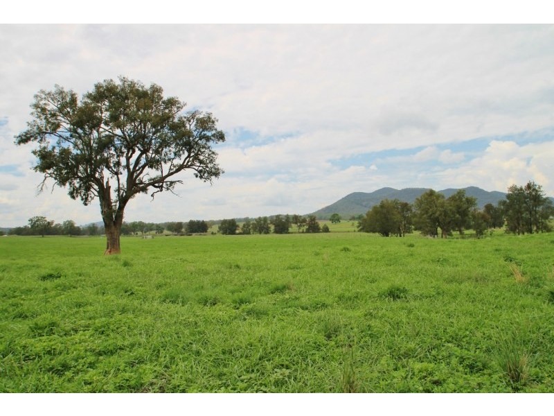 721 Ulan Road, Mudgee NSW 2850