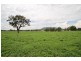 721 Ulan Road, Mudgee NSW 2850