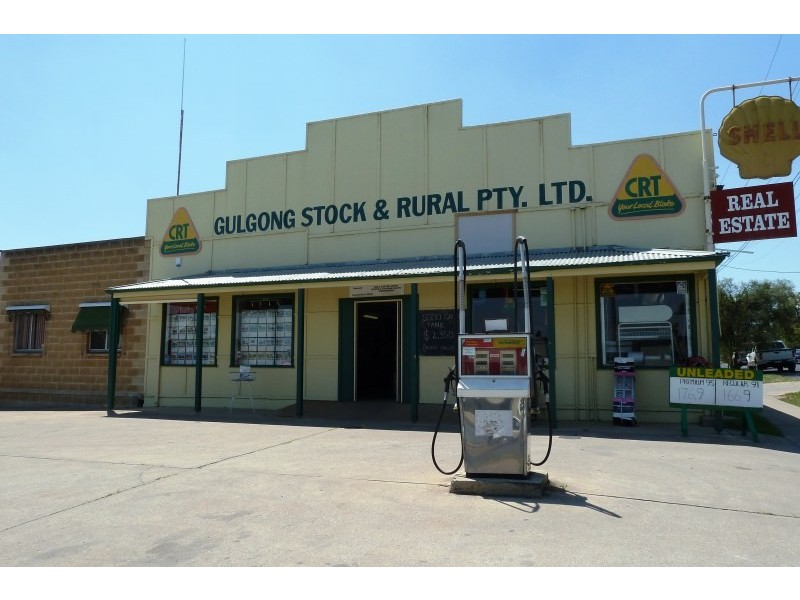Gulgong NSW 2852