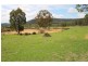 240 Iron Barks Road, Mudgee NSW 2850