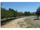 Mudgee NSW 2850