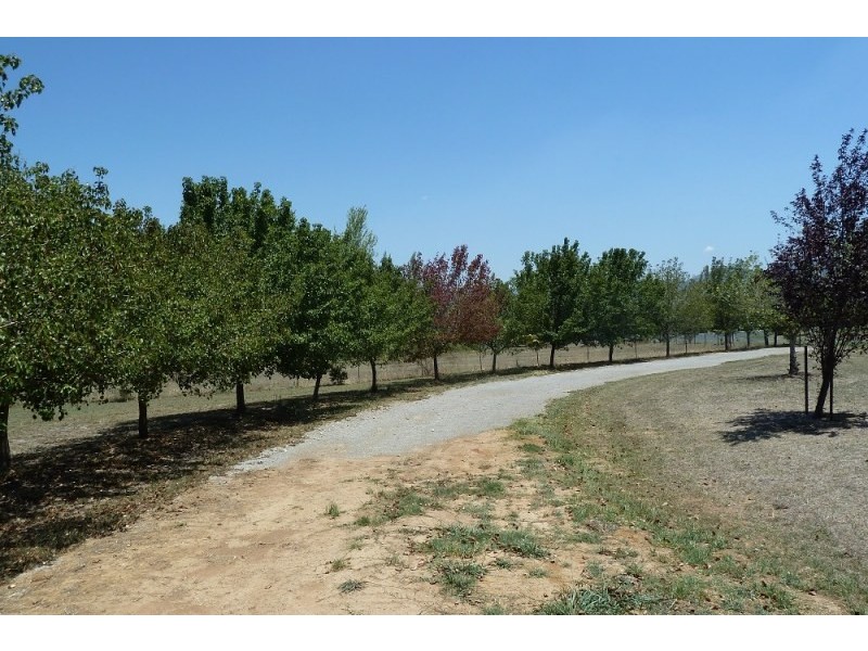 Mudgee NSW 2850