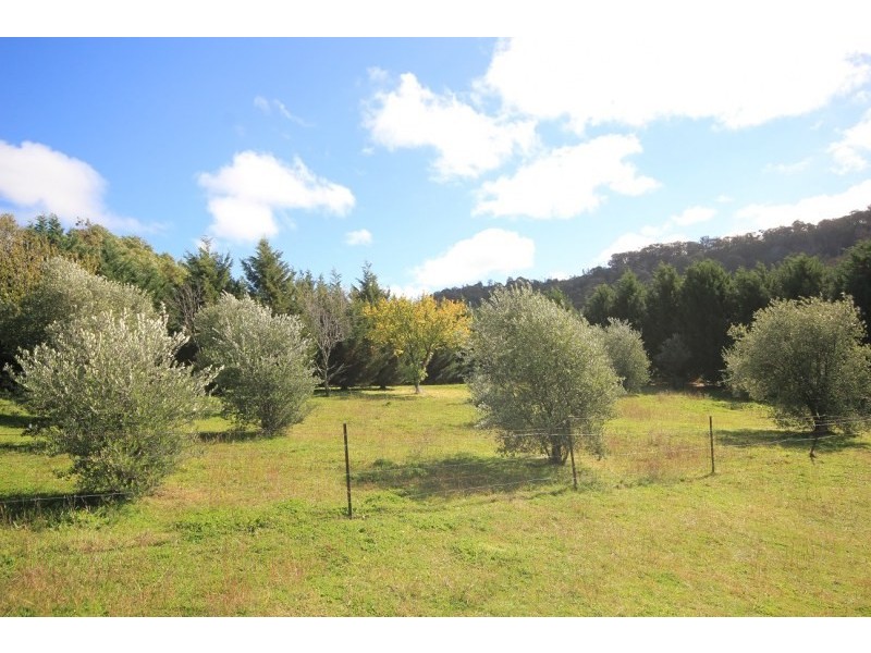 Mudgee NSW 2850