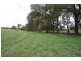 Mudgee NSW 2850