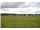 Mudgee NSW 2850