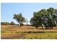 129 White Cedars Road, Mudgee NSW 2850
