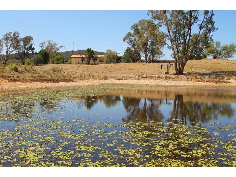 129 White Cedars Road, Mudgee NSW 2850
