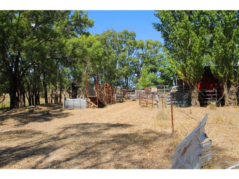 129 White Cedars Road, Mudgee NSW 2850