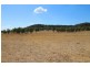 129 White Cedars Road, Mudgee NSW 2850