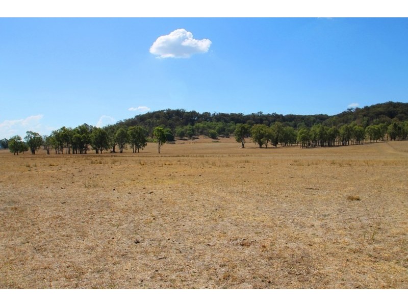 129 White Cedars Road, Mudgee NSW 2850