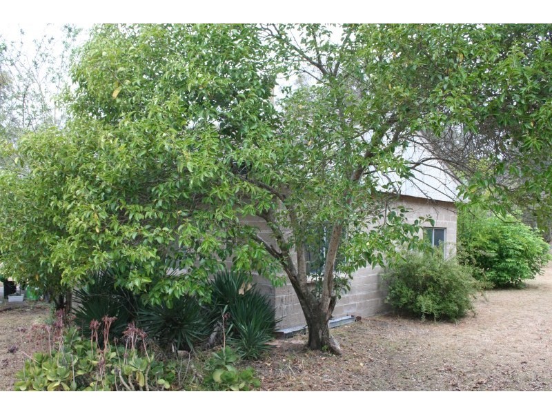 2916 Ulan Road, Cooks Gap NSW 2850