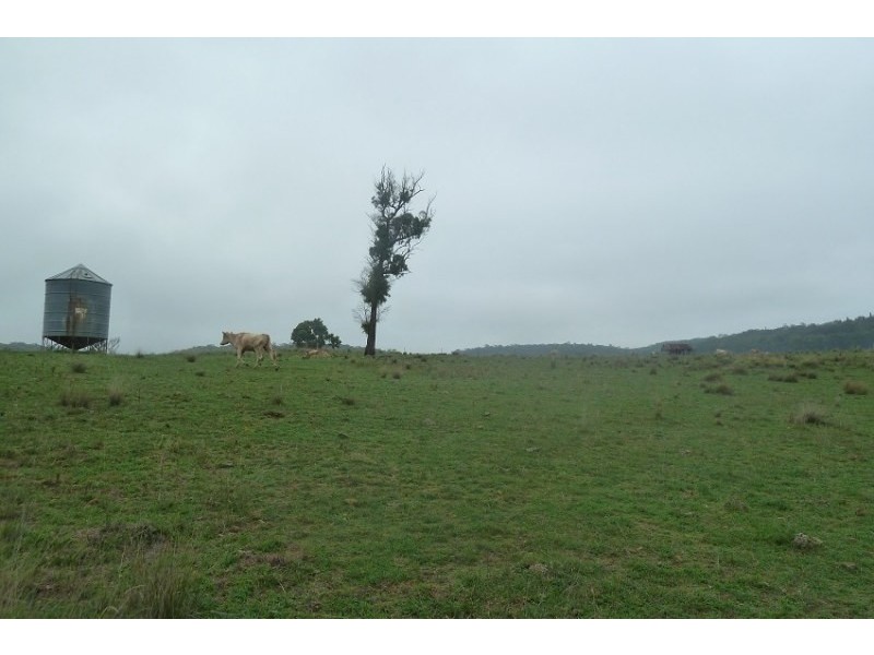 Old Bus Road, Mudgee NSW 2850