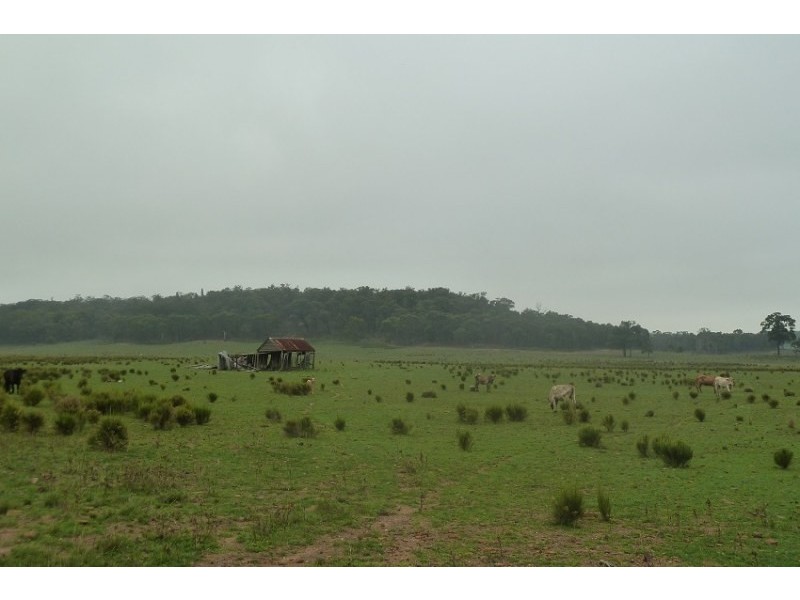 Old Bus Road, Mudgee NSW 2850