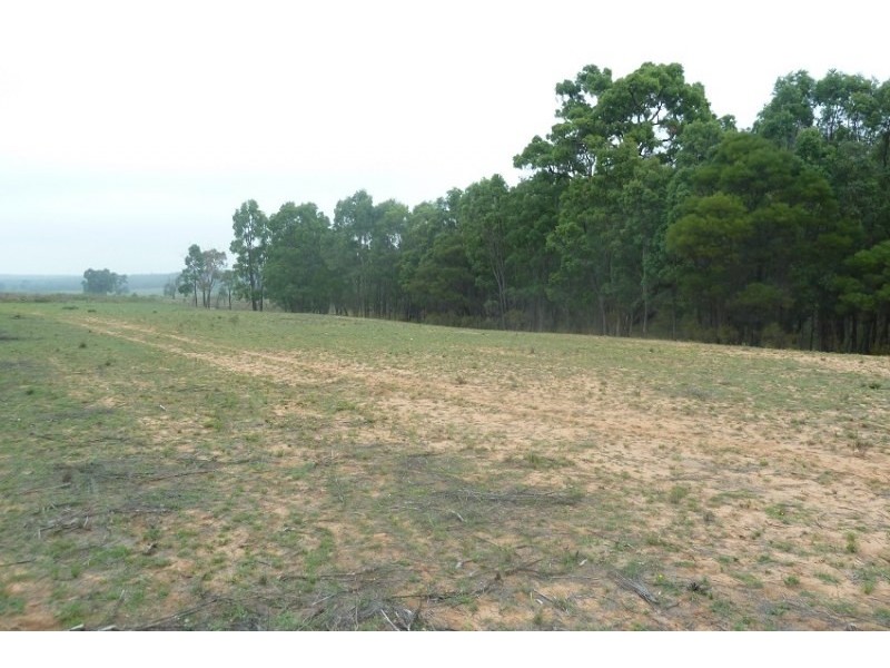 Old Bus Road, Mudgee NSW 2850