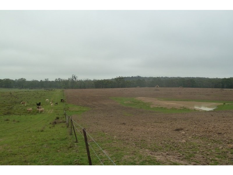 Old Bus Road, Mudgee NSW 2850