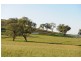 76 Crossings Road, Mudgee NSW 2850
