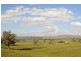 76 Crossings Road, Mudgee NSW 2850